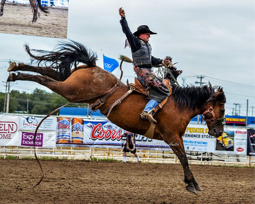 PRCA Pro Rodeo 3